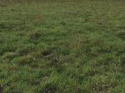 Lalacelle Vente Terrain 61