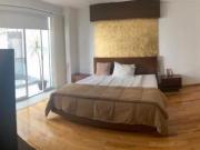 lamartine Polanco DV CUGB1