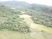 Lamoro Pasadena in El Nido Palawan For Sale