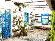 LAN 531 Casa Campestre Santa Elena V.El Plan S.Pueblo Nuevo