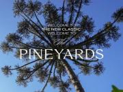 Lançamento Apto Alto padrão, ao lado do Graciosa Club no...