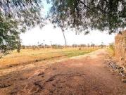 Terrain