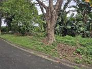 land 2400 m2 Quezon City