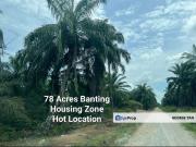 Land 78 acres zone ready Banting