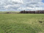 Land Commercial