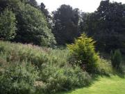 Land Commercial