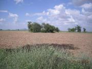 Land for Development in Jodhpur, Rajasthan, Ref# 46063 Land for Development in Jodhpur, Rajasthan, Ref# 46063