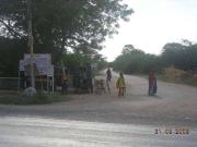 Land for Development in Jodhpur, Rajasthan, Ref# 46089
