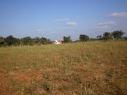 Land for Development in Madurai, Tamil Nadu, Ref# 627560