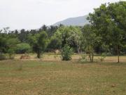 Land for Development in Madurai, Tamil Nadu, Ref# 656183