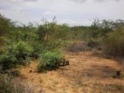 Land for Development in Madurai, Tamil Nadu, Ref# 781631