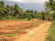 Land for Development in Pudukkottai, Tamil Nadu, Ref#...