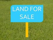 Land for Development in Thrissur, Kerala, Ref# 2643927