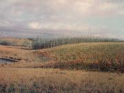 Land For Sale Land For Sale