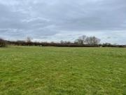 Land for sale Land for sale