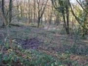 Land For Sale Congleton Cheshire 1000 ES94232474