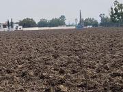 LAND for SALE for Industrial development, 206has, San...