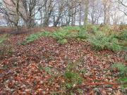 Land For Sale In Auld Lang Syne, Poets Rest, Catrine,...