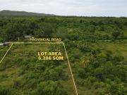 Land for Sale in Consuelo, Camotes Island, Cebu ideal...