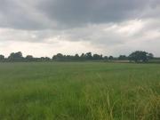 Land for sale in Crewood Common Road CW8