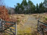 Land For Sale In Loch Rannoch, Pitlochry, Perth And...