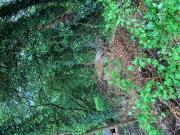 Land For Sale North Yorkshire North Yorkshire 5000...