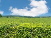 Land For Sale Perth And Kinross Perth And Kinross 160000...