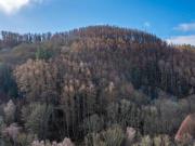Land For Sale Perth And Kinross Perth And Kinross 325000...