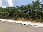Land fronting main road, Flat Land, near residential &...