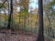 land Nashville TN DS92805872 land Nashville TN DS92805872