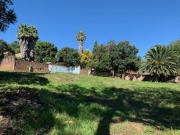 land on the market in boomed off are.