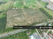 LAND SALE AT NORTH SOUTH HIGHWAY ROAD SIDE 54.28 ACRE...
