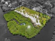 land Tampa FL DLS90936459