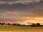 Land To Build Land To Build