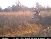 land Trenton MO DLS93224257