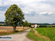 Land und Forstwirtschaftsflächen