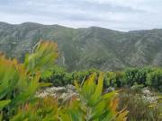 Land Uniondale Western Cape 85623083