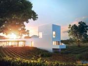 L'AND Vineyards_Antão Vaz | 23103646333