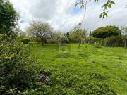 LANDHAUSFLAIR IDEAL FÜR NATURFREUNDE