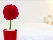 Landin Felix Doctor Kalea