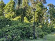 Landmark Cir N, Jacksonville, Plot For Sale