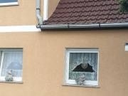 Landschaftliche Doppelhaushälfte in 06888 Lutherstadt...