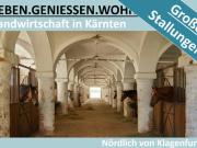 LANDWIRTSCHAFT IN KÄRNTEN MIT GROSSEN STALLUNGEN