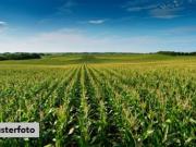 Landwirtschaftlich genutztes Grundstück provisionsfrei
