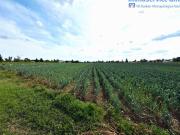 Landwirtschaftliche Fläche in Fürth Ronhof mit ca....