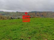 Landwirtschaftliche Grünlandfläche