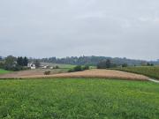 Landwirtschaftliche Nutzgründe 3 Grundstücke