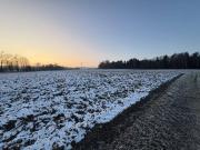 Landwirtschaftlicher Nutzgrund Acker in Taiskirchen