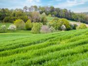 Landwirtschaftliches Land mit Hütte und Panoramablick...