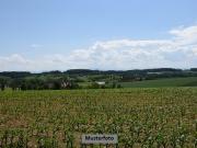 Landwirtschaftsfläche